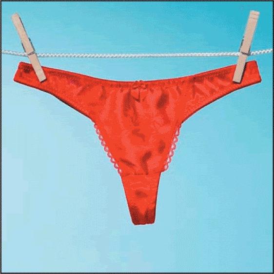 Las Cruces Skidmark Local Woman Sued For Drying Laundry